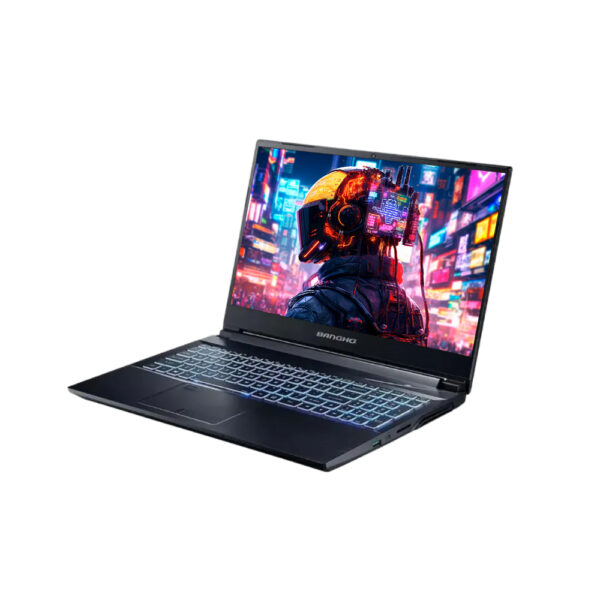 NTB BGO GM 15Z13 RTX3050 i7 15"/16/1T/Fr