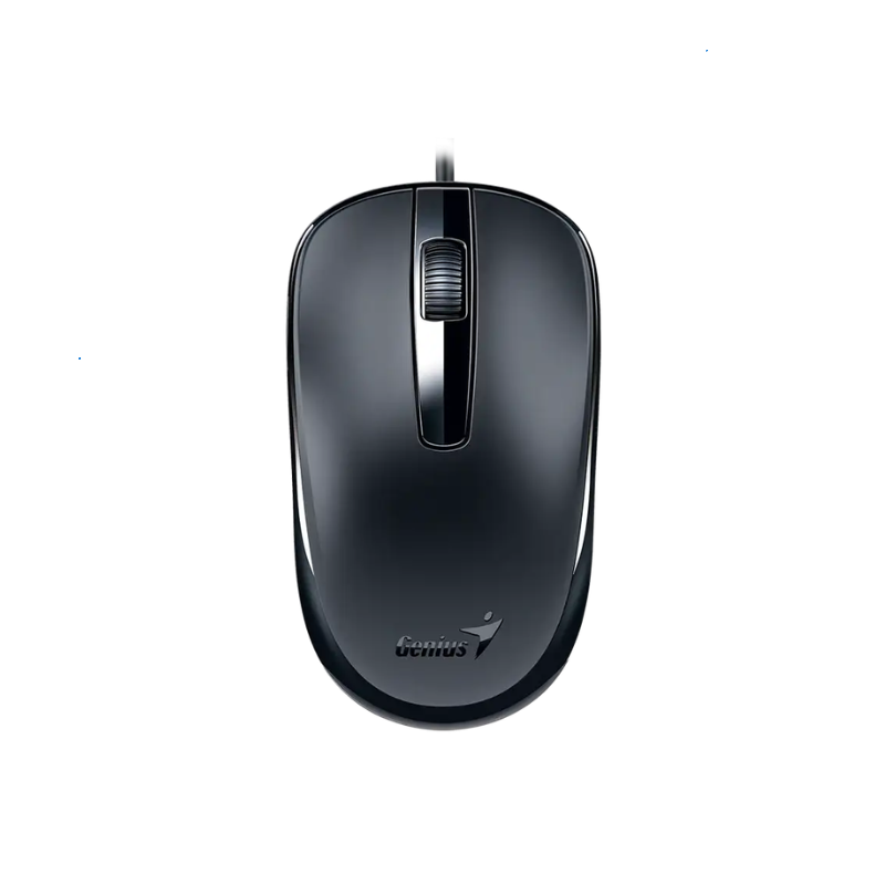 MOUSE GENIUS DX-120,USB-C,BLACK (2299)